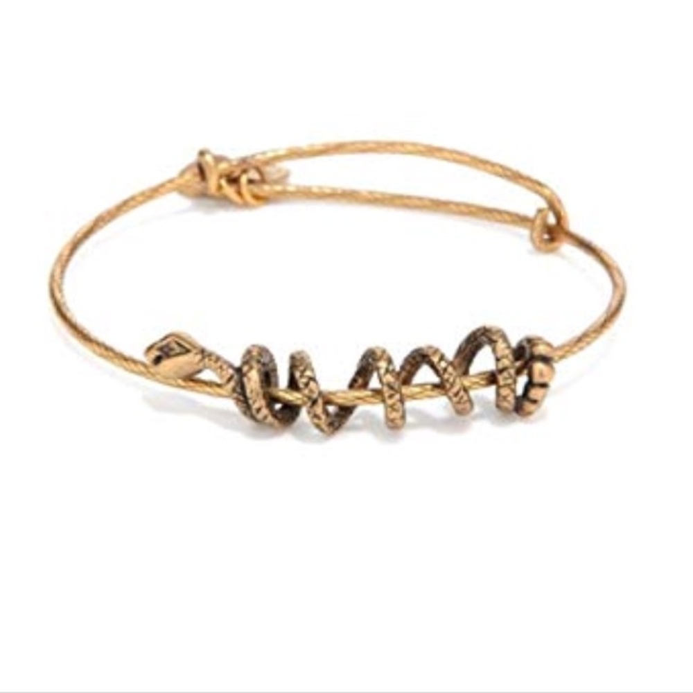Alex and ani snake wrap bracelet